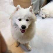 ヒメ日記 2025/11/29 20:28 投稿 みよ 伽羅（小名浜）