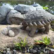 ヒメ日記 2025/11/29 22:44 投稿 みよ 伽羅（小名浜）