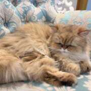 ヒメ日記 2026/03/14 14:28 投稿 みよ 伽羅（小名浜）