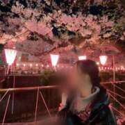 ヒメ日記 2025/04/11 16:18 投稿 ななせ★ 伽羅（小名浜）