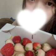 ヒメ日記 2025/06/08 08:58 投稿 ななせ★ 伽羅（小名浜）