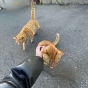 ヒメ日記 2025/11/30 10:18 投稿 ななせ★ 伽羅（小名浜）