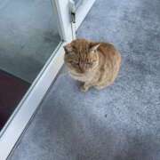 ヒメ日記 2026/02/10 13:08 投稿 ななせ★ 伽羅（小名浜）