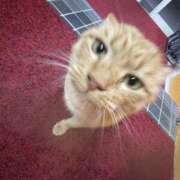 ななせ★ 出勤してますっ 伽羅（小名浜）