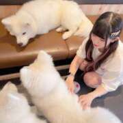 ヒメ日記 2026/04/01 22:38 投稿 柚子　★ 伽羅（小名浜）