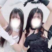 ヒメ日記 2024/12/18 23:24 投稿 あらん デリス新宿