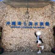 ヒメ日記 2025/09/28 21:04 投稿 あらん デリス新宿