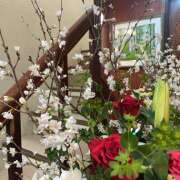 ヒメ日記 2025/04/22 14:43 投稿 霧乃ゆみ ローテンブルク