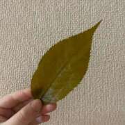 ヒメ日記 2026/03/24 09:15 投稿 霧乃ゆみ ローテンブルク