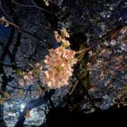 霧乃ゆみ 4月スケジュール ローテンブルク