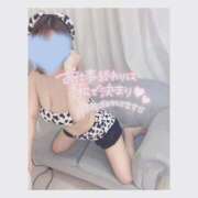 ヒメ日記 2025/01/29 14:35 投稿 ふうか フォーチュン