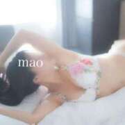 ヒメ日記 2026/04/21 08:00 投稿 Mao PROPORTION