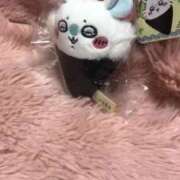 ヒメ日記 2025/01/05 11:45 投稿 橘つむぎ DEEPS成田店