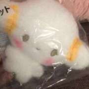 ヒメ日記 2025/04/15 12:05 投稿 橘つむぎ DEEPS成田店