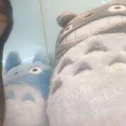 ヒメ日記 2025/04/24 17:45 投稿 橘つむぎ DEEPS成田店