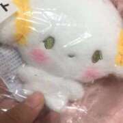 ヒメ日記 2025/05/15 11:15 投稿 橘つむぎ DEEPS成田店