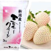 ヒメ日記 2025/01/26 16:24 投稿 このみ 熟女の風俗最終章　越谷店