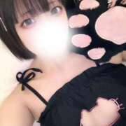 ヒメ日記 2026/04/10 17:52 投稿 いお 黒い金魚（札幌）