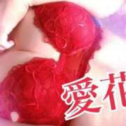 ヒメ日記 2025/06/21 11:30 投稿 愛花　あいか 本庄人妻城