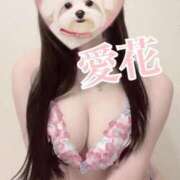 ヒメ日記 2026/06/08 15:45 投稿 愛花　あいか 本庄人妻城