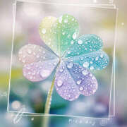 ヒメ日記 2025/07/05 10:44 投稿 れお 横浜ミセスアロマ（ユメオト）