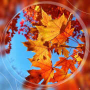 ヒメ日記 2025/11/07 12:08 投稿 れお 横浜ミセスアロマ（ユメオト）