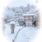 ヒメ日記 2026/01/03 12:11 投稿 れお 横浜ミセスアロマ（ユメオト）