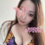 ヒメ日記 2025/01/09 10:15 投稿 礼瀬うた コウテイ