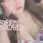 ヒメ日記 2025/02/12 16:15 投稿 礼瀬うた コウテイ