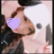 ヒメ日記 2025/02/14 11:55 投稿 礼瀬うた コウテイ