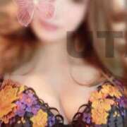 ヒメ日記 2025/04/14 11:03 投稿 礼瀬うた コウテイ