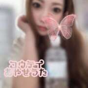 ヒメ日記 2025/05/27 05:15 投稿 礼瀬うた コウテイ