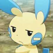 ヒメ日記 2025/05/30 11:25 投稿 礼瀬うた コウテイ