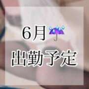 ヒメ日記 2025/06/19 21:50 投稿 礼瀬うた コウテイ