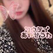 ヒメ日記 2025/07/31 09:20 投稿 礼瀬うた コウテイ