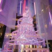 ヒメ日記 2025/12/11 13:15 投稿 礼瀬うた コウテイ