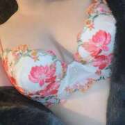 ヒメ日記 2025/12/13 10:45 投稿 礼瀬うた コウテイ