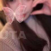 ヒメ日記 2026/01/29 10:35 投稿 礼瀬うた コウテイ