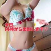 ヒメ日記 2025/09/15 11:32 投稿 野村 まお 夜這い専門 発情する奥様たち梅田店