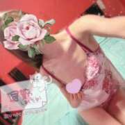 ヒメ日記 2025/07/30 02:18 投稿 ミユ バニーコレクション新潟店