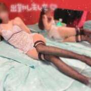 ヒメ日記 2025/11/27 10:01 投稿 ミユ バニーコレクション新潟店