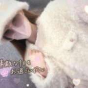 ヒメ日記 2026/02/12 17:25 投稿 ミユ バニーコレクション新潟店