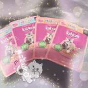 ヒメ日記 2026/03/31 02:13 投稿 ミユ バニーコレクション新潟店