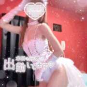 ヒメ日記 2026/07/13 10:02 投稿 ミユ バニーコレクション新潟店
