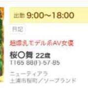 ヒメ日記 2024/09/30 09:04 投稿 桜〇舞 ニューティアラ