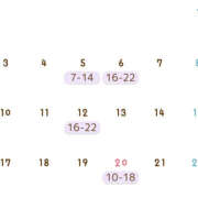 ヒメ日記 2025/02/20 20:22 投稿 こに クラブハート