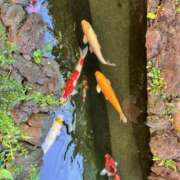 さゆき ※無題 エンジェルシリカ