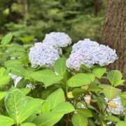 ヒメ日記 2026/06/16 18:06 投稿 さゆき エンジェルシリカ