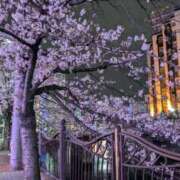 ヒメ日記 2025/04/01 12:40 投稿 莉菜(りな) 人妻城 横浜本店