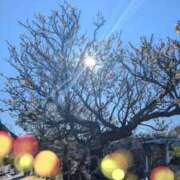 ヒメ日記 2026/01/14 12:15 投稿 莉菜(りな) 人妻城 横浜本店